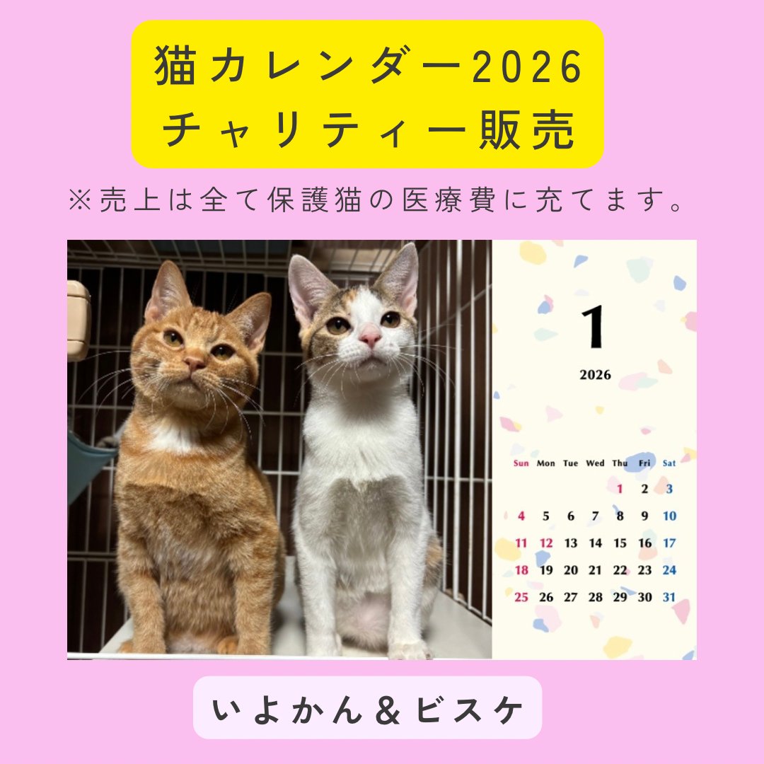 いよビス2026年カレンダーの画像