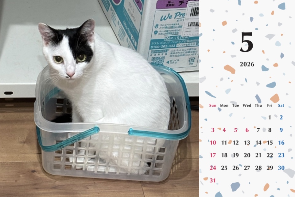 たろいも2026年カレンダーの画像