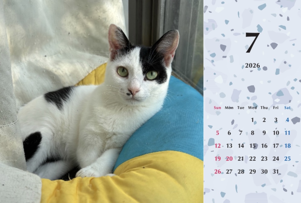 たろいも2026年カレンダーの画像