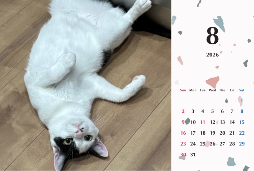 たろいも2026年カレンダーの画像