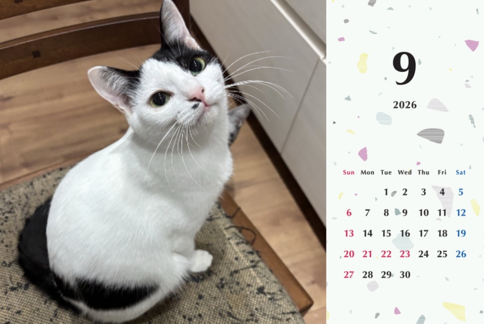 たろいも2026年カレンダーの画像