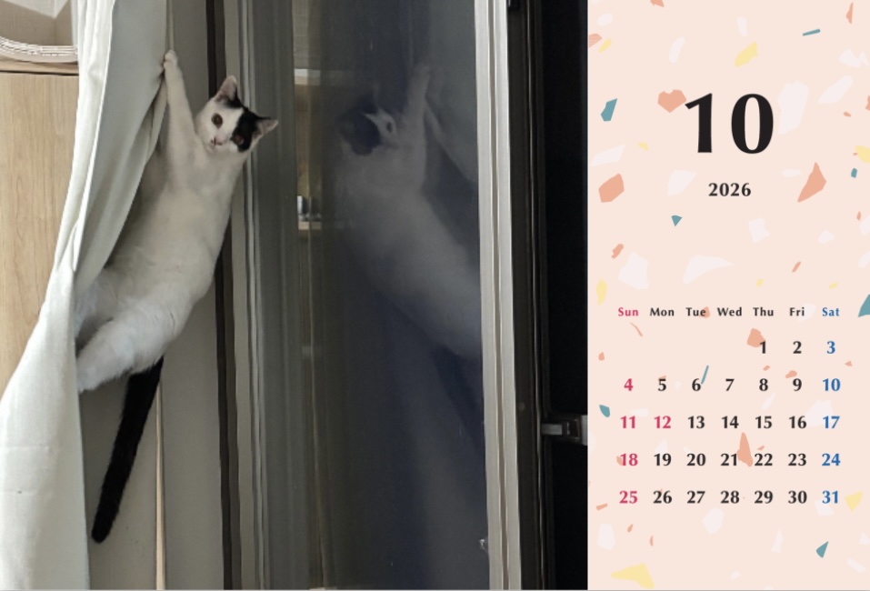 たろいも2026年カレンダーの画像