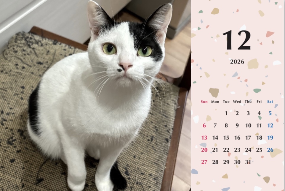 たろいも2026年カレンダーの画像