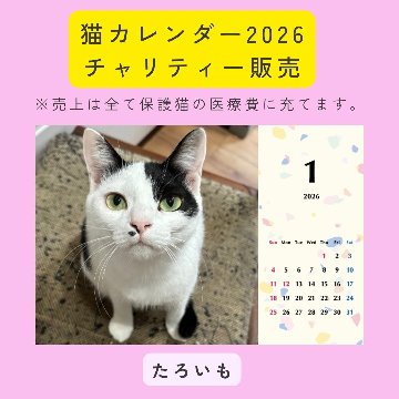 たろいも2026年カレンダーの画像