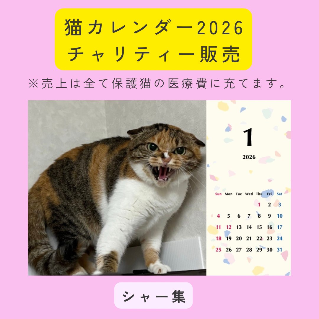 シャー2026年カレンダーの画像