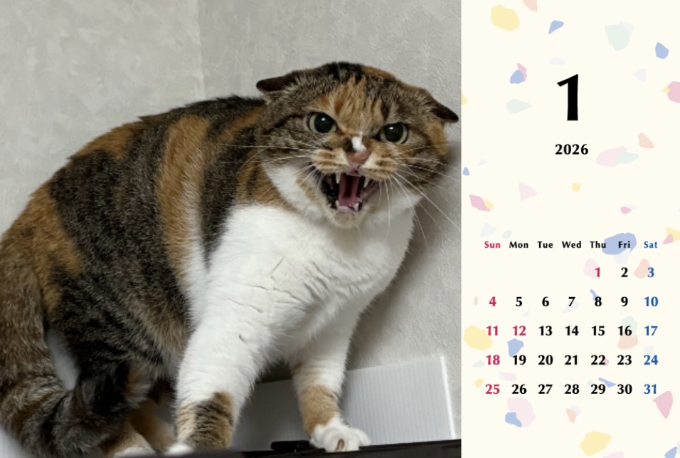 シャー2026年カレンダーの画像