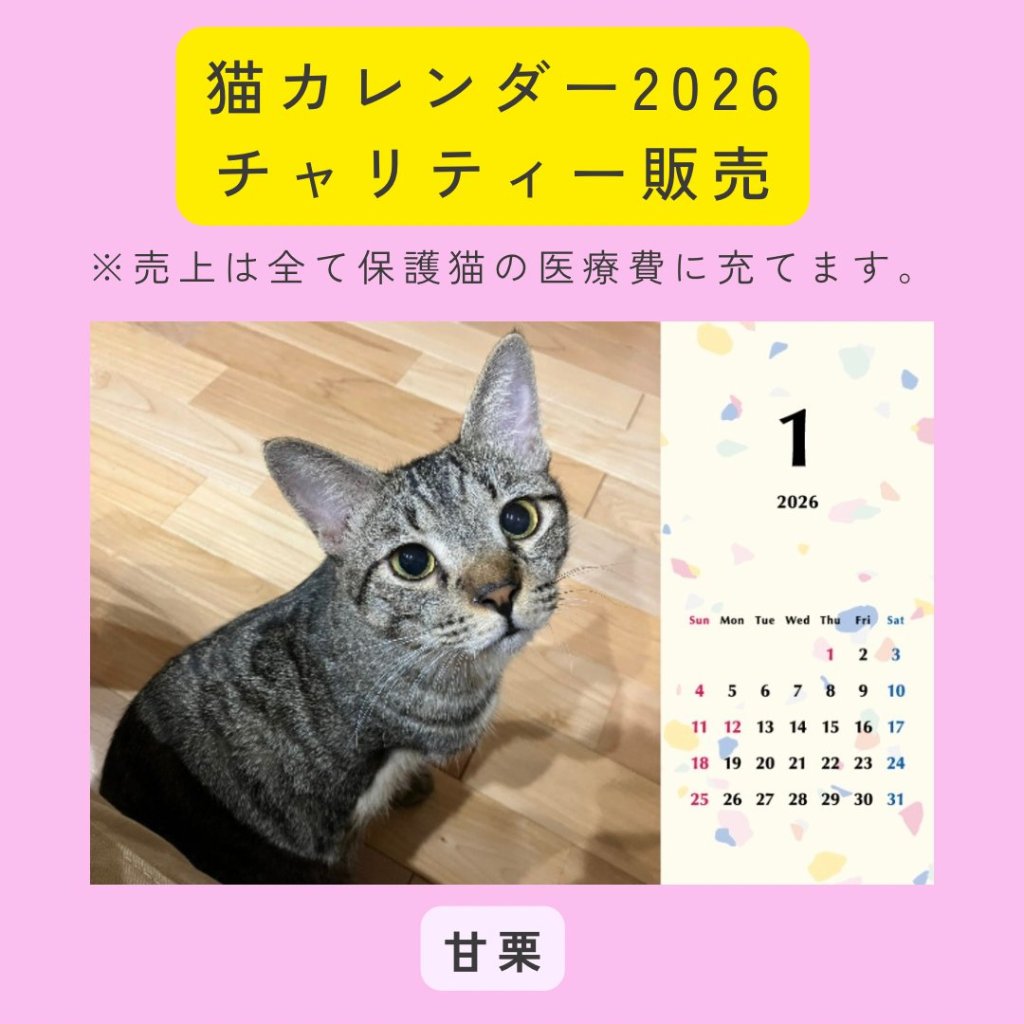 甘栗2026年カレンダーの画像