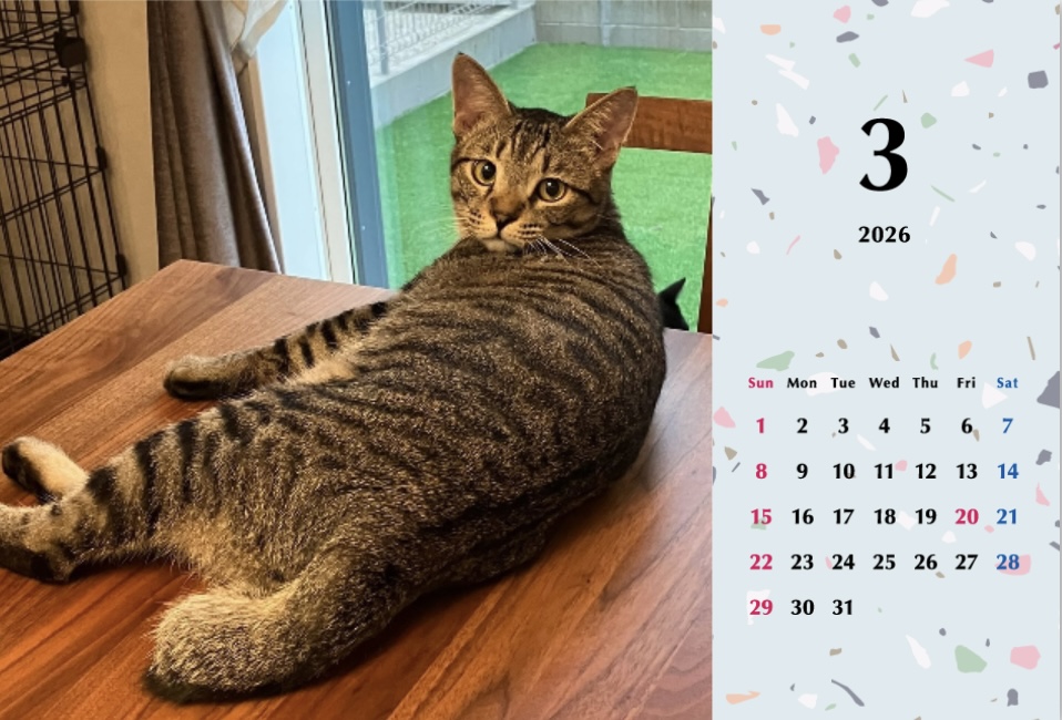 甘栗2026年カレンダーの画像