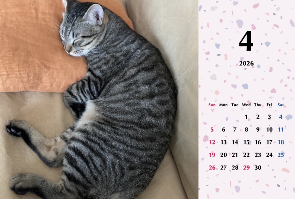 甘栗2026年カレンダーの画像