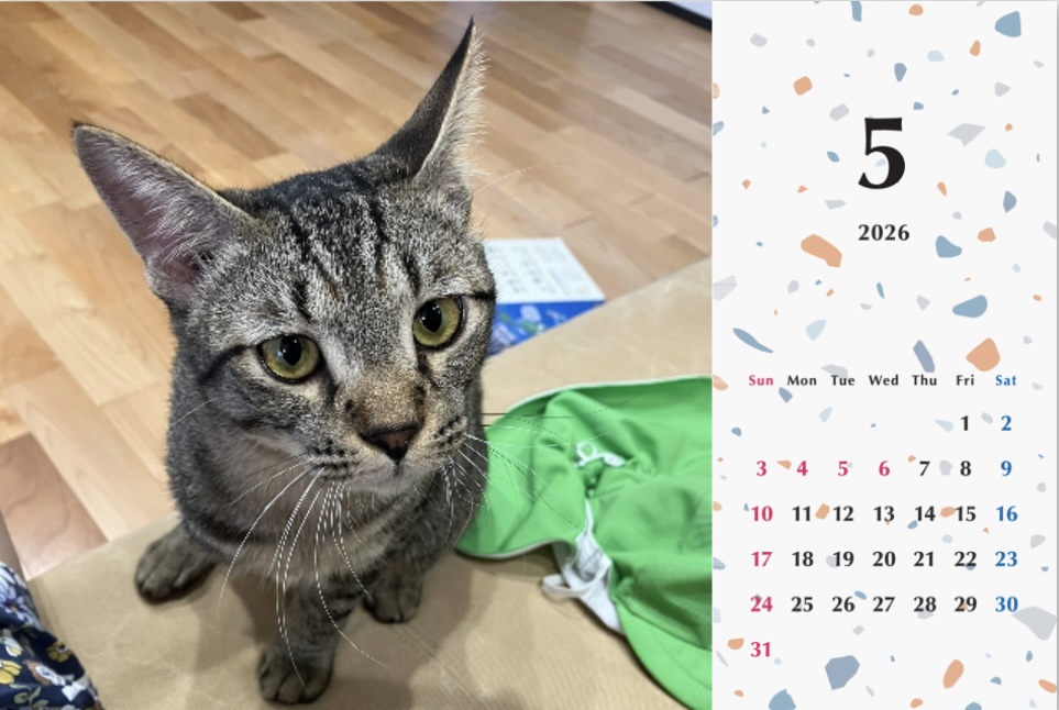 甘栗2026年カレンダーの画像