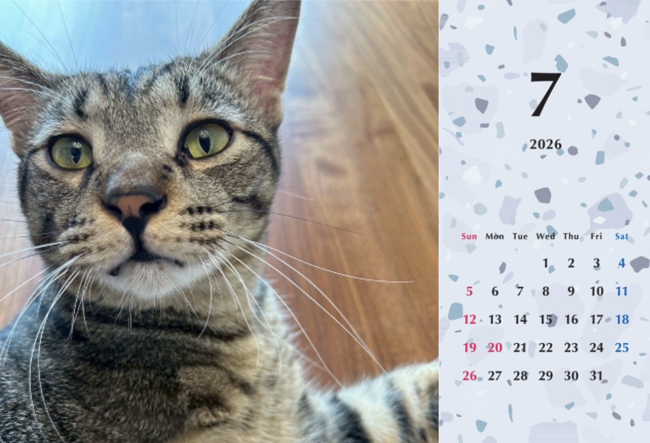 甘栗2026年カレンダーの画像