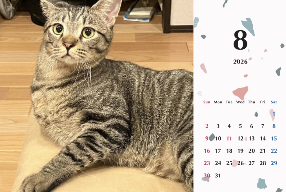 甘栗2026年カレンダーの画像