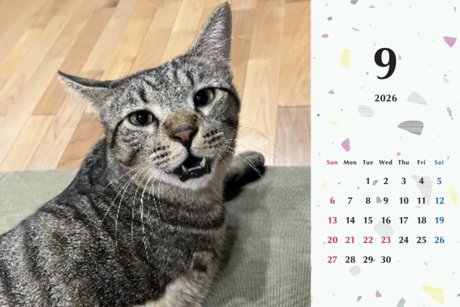 甘栗2026年カレンダーの画像