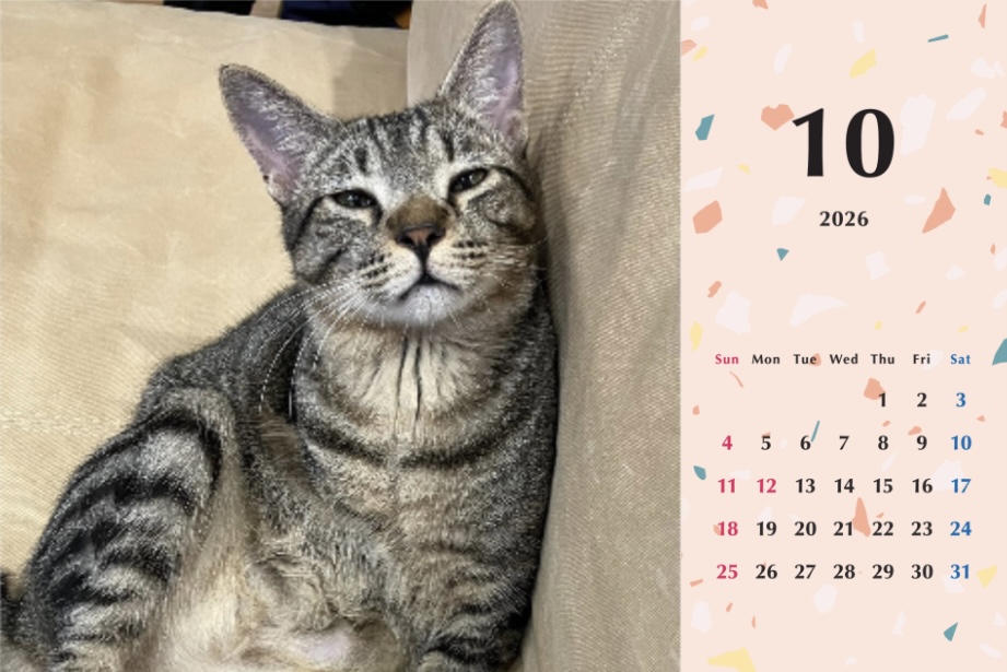 甘栗2026年カレンダーの画像