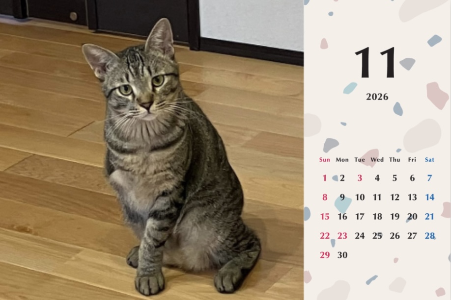 甘栗2026年カレンダーの画像