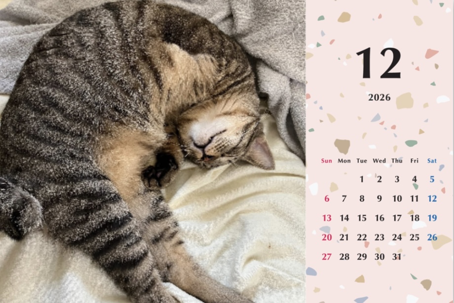 甘栗2026年カレンダーの画像