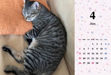 甘栗2026年カレンダーの画像