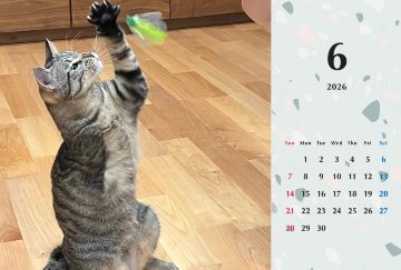 甘栗2026年カレンダーの画像