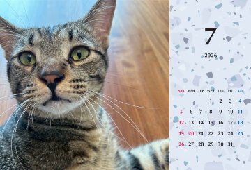 甘栗2026年カレンダーの画像