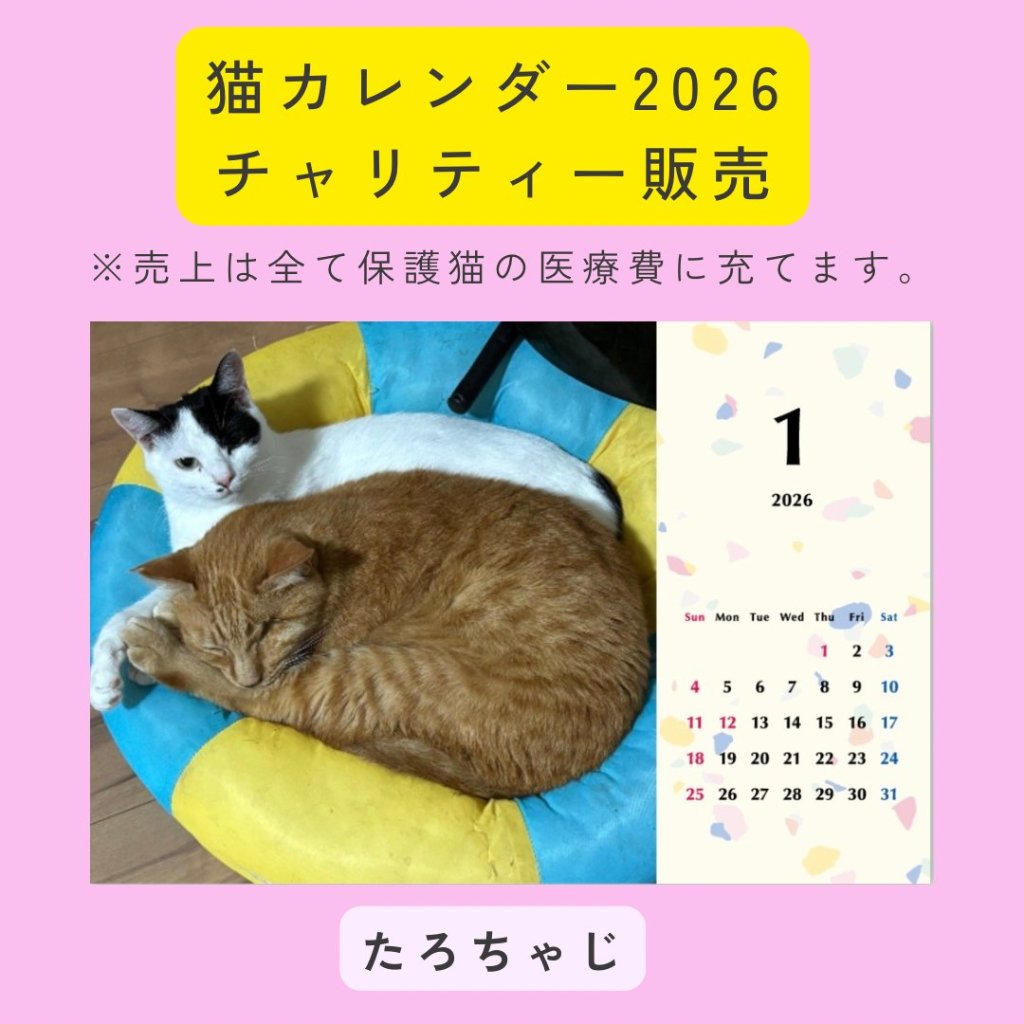 たろちゃじ2026年カレンダーの画像