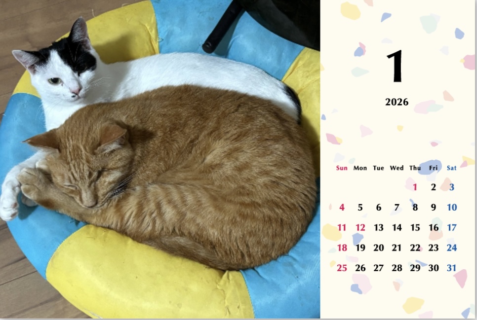 たろちゃじ2026年カレンダーの画像