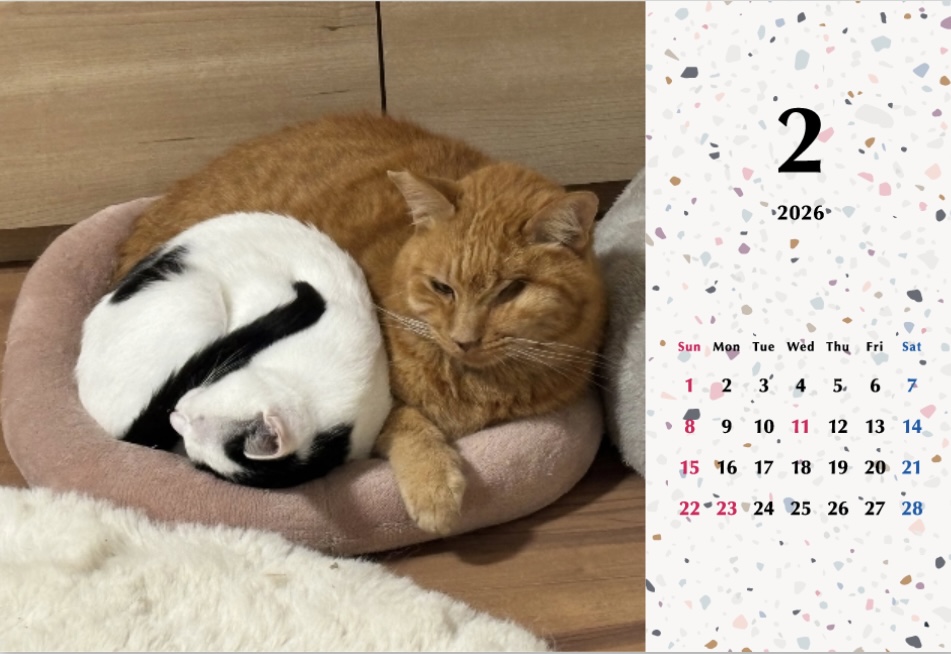 たろちゃじ2026年カレンダーの画像