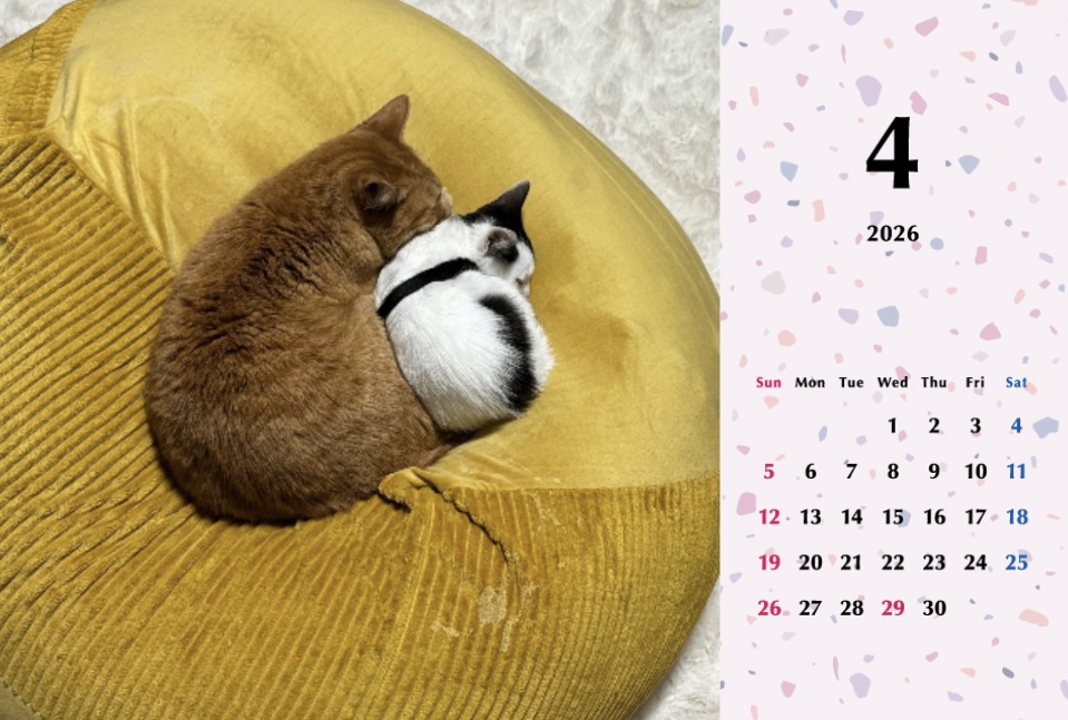 たろちゃじ2026年カレンダーの画像