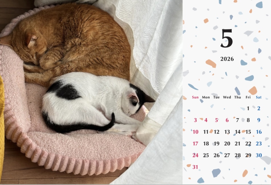 たろちゃじ2026年カレンダーの画像