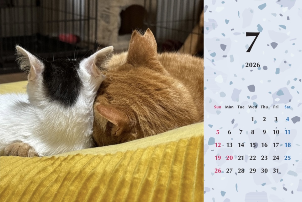 たろちゃじ2026年カレンダーの画像