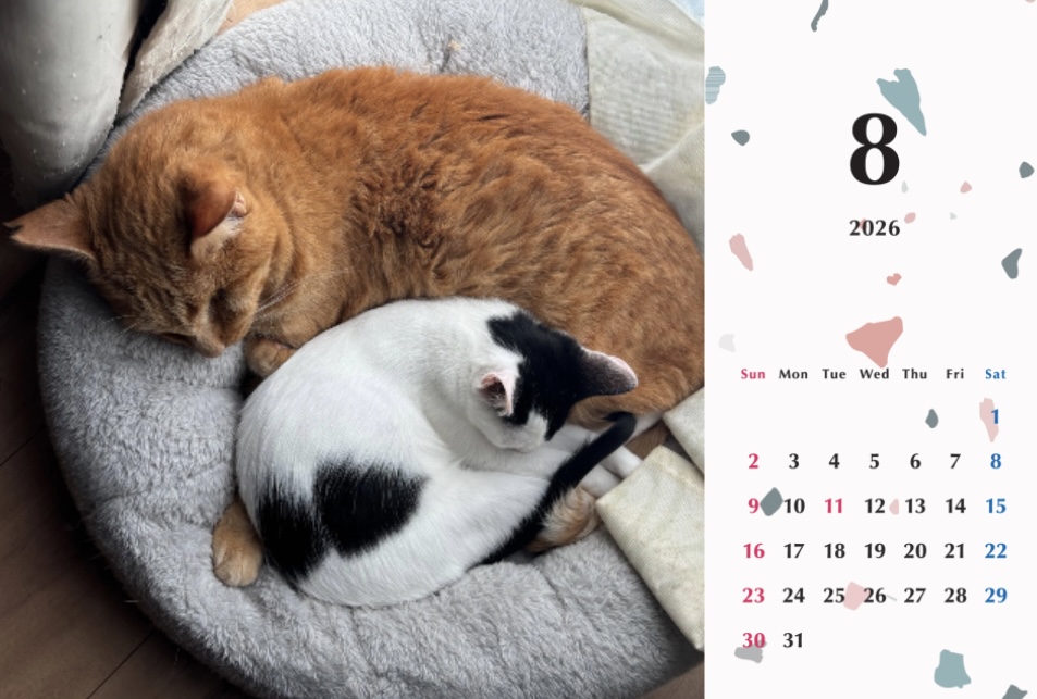 たろちゃじ2026年カレンダーの画像