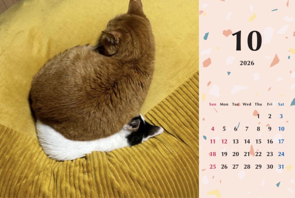 たろちゃじ2026年カレンダーの画像