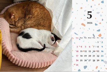 たろちゃじ2026年カレンダーの画像