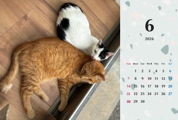 たろちゃじ2026年カレンダーの画像