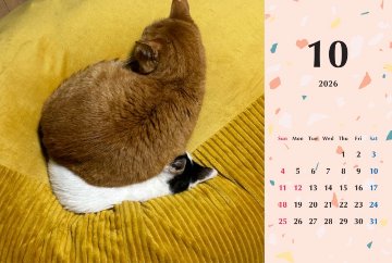 たろちゃじ2026年カレンダーの画像