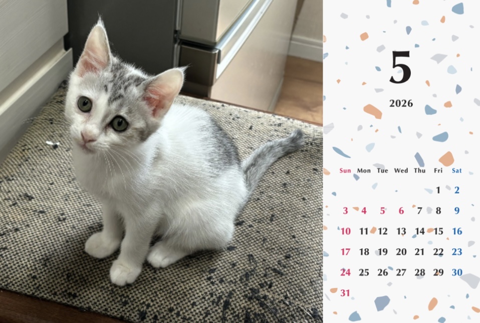 子猫ーズ2026年カレンダーの画像