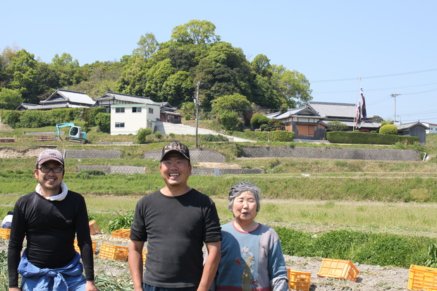 坪井農園の腐らない新玉ねぎの画像