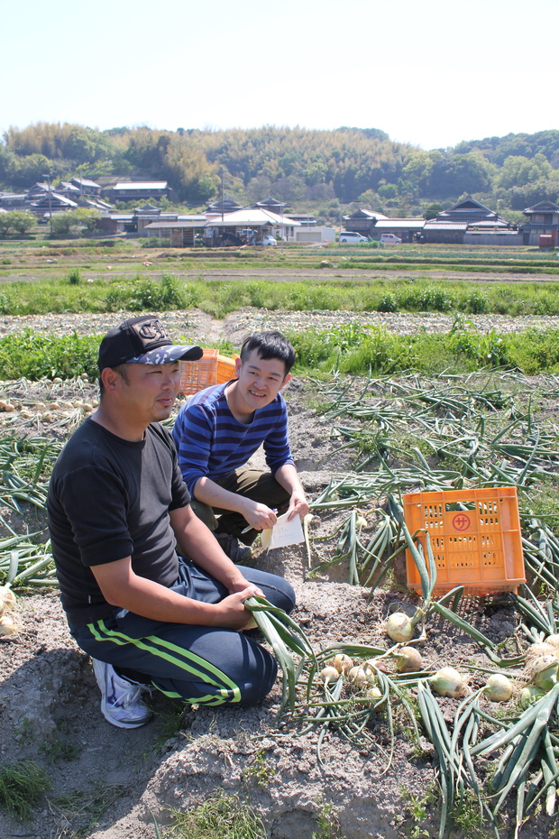 坪井農園の腐らない新玉ねぎの画像