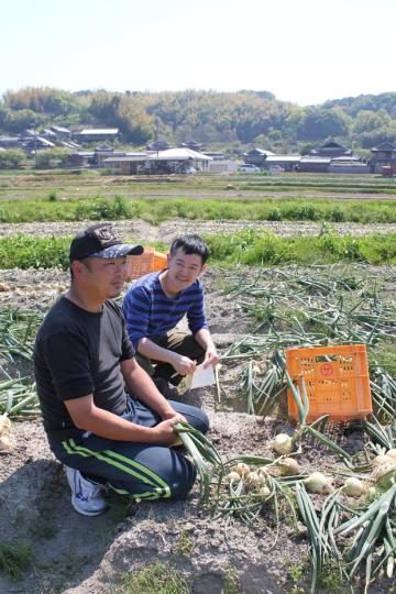坪井農園の腐らない新玉ねぎの画像