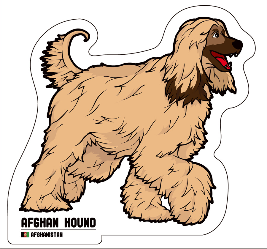 アフガンハウンド_6ステッカーの画像