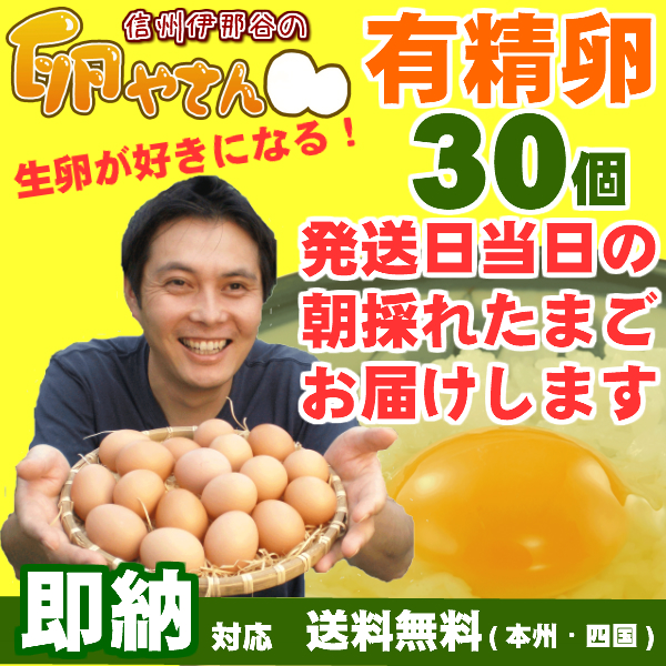 ■自動継続タイプ■有精卵30個の画像