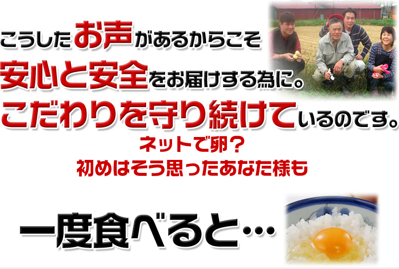 平飼い卵の初産み卵80個＋破損保証のオマケ28個の画像