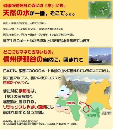 平飼い卵の初産み卵80個＋破損保証のオマケ28個の画像