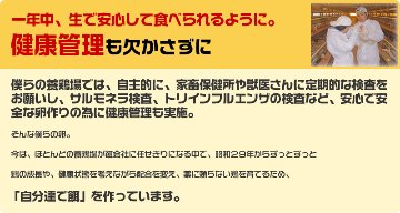 平飼い卵の初産み卵80個＋破損保証のオマケ28個の画像
