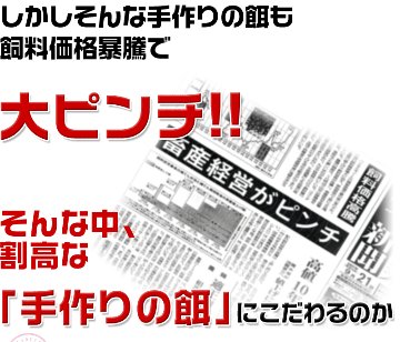平飼い卵の初産み卵80個＋破損保証のオマケ28個の画像