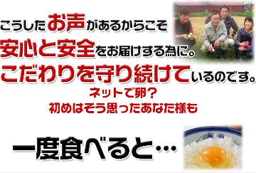平飼い卵の初産み卵80個＋破損保証のオマケ28個の画像