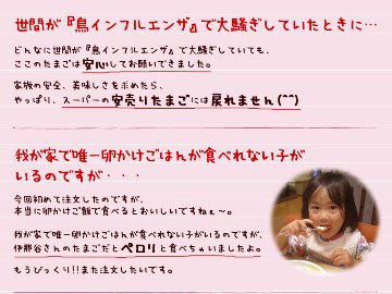 平飼い卵の初産み卵80個＋破損保証のオマケ28個の画像