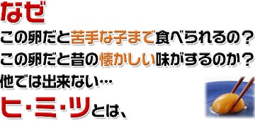 平飼い卵の初産み卵80個＋破損保証のオマケ28個の画像