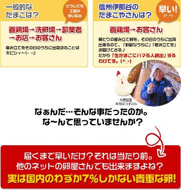 平飼い卵の初産み卵80個＋破損保証のオマケ28個の画像