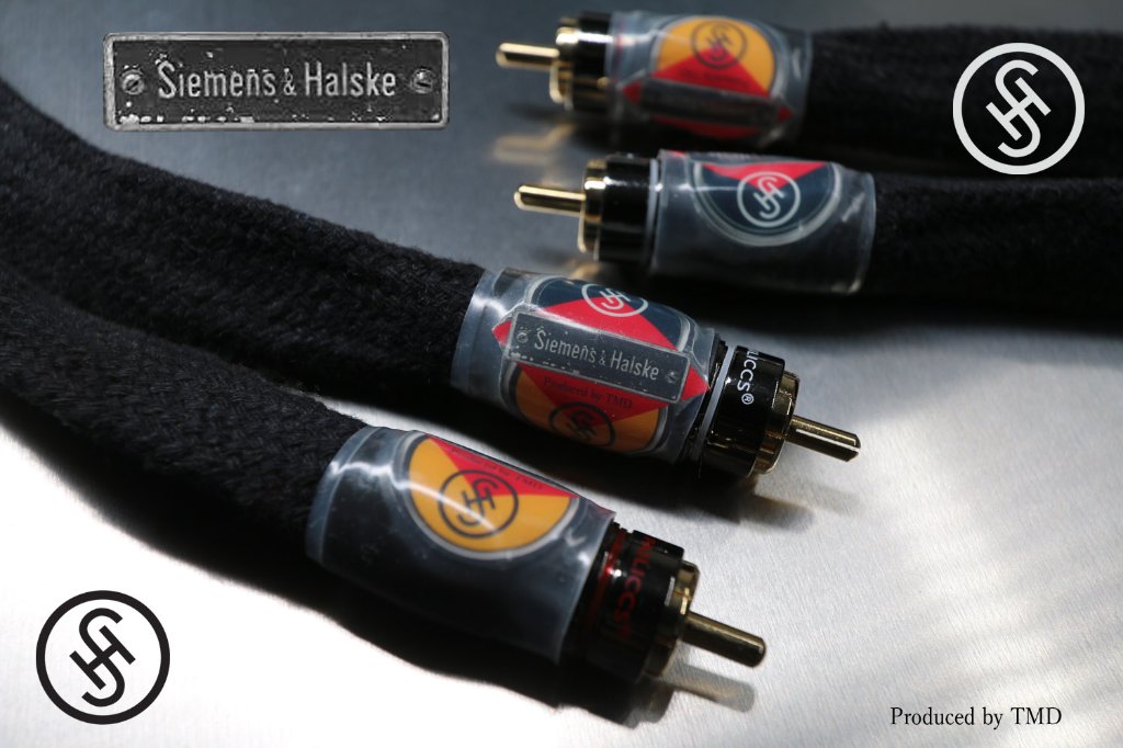 SIEMENS & HALSKE　1.0mの画像