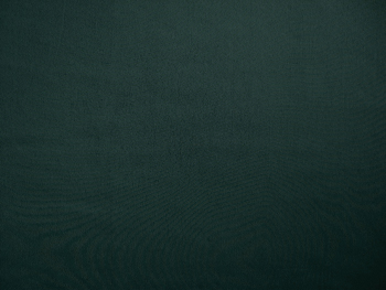 無地・フォレストグリーンの画像